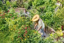 gardening